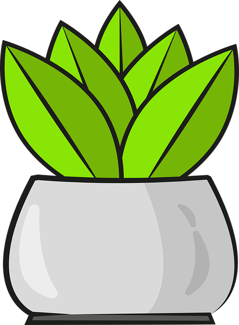 Free Leaves Plant vector and picture
