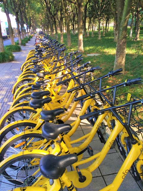 Free Asia Bike photo and picture