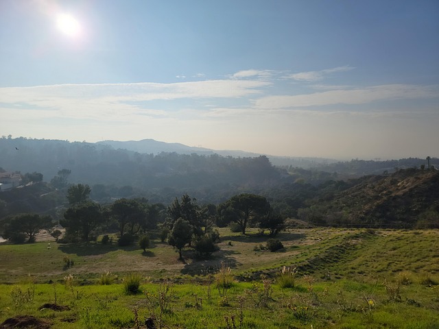 Free Anaheim Suburb photo and picture