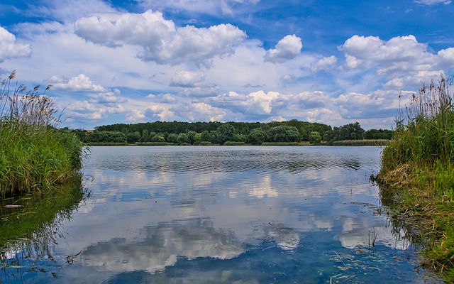 Free Lake Reflection photo and picture