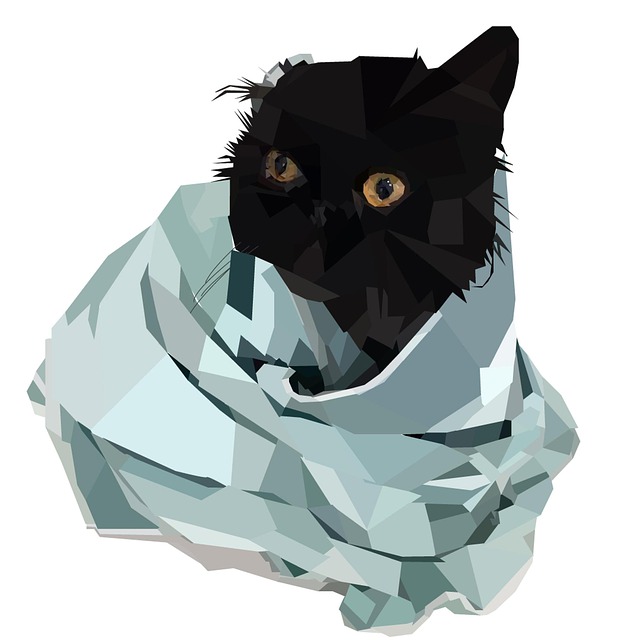 Kat, Feline, Kæledyr, Pattedyr, Killing