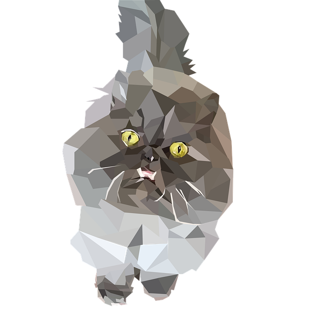 Kat, Feline, Kæledyr, Pattedyr, Killing