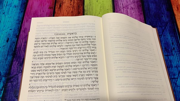 Free Genesis Bible photo and picture