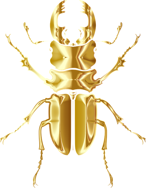 Page 3 - Free Beetle Vector Art - Download 256+ Beetle Icons & Graphics ...