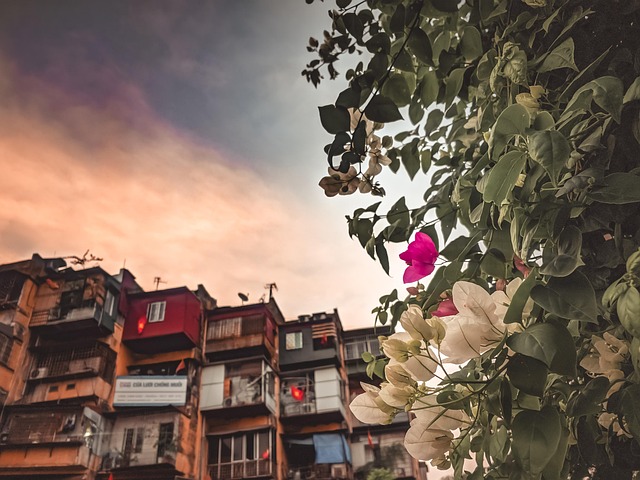 Free Hanoi Hoagiay photo and picture