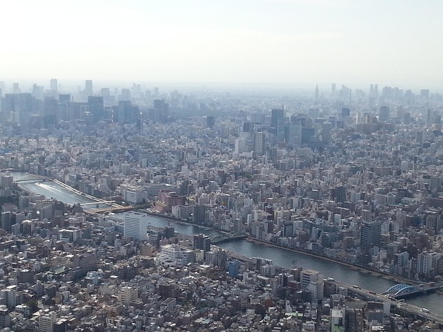 Himmel Træ, Tokyo, Japan, Metropol