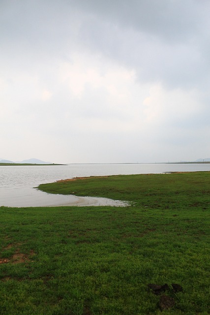 Feld, See, Landschaft, Natur, Wiese