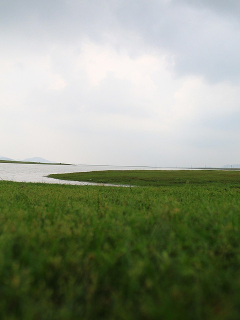 Landschaft, Gras, Himmel, Feld, Wiese