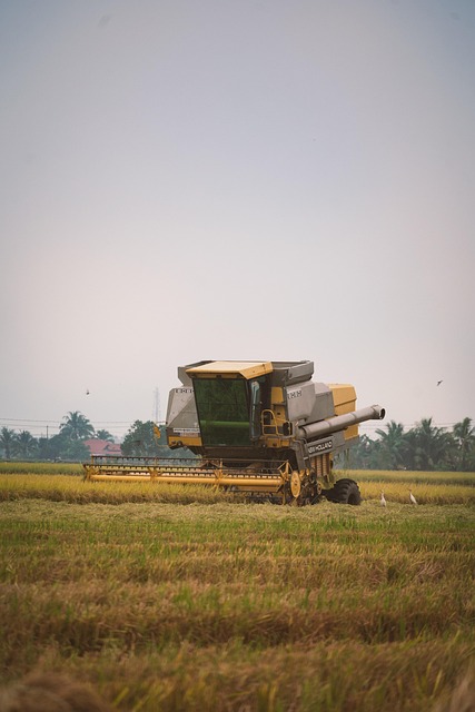 Free Harvester Paddy Field photo and picture