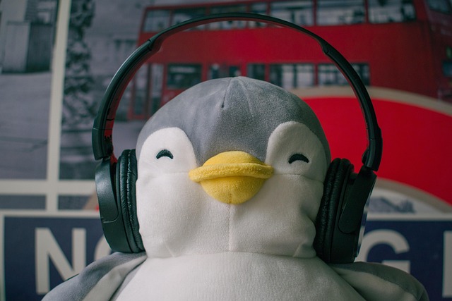 Free Stuffed Toy Stuffed Penguin photo and picture