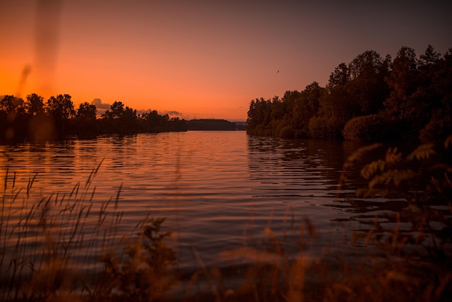 Free Pond Lake photo and picture