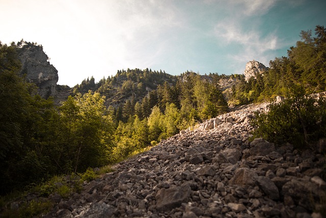 Free Austria Nature photo and picture