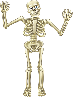 超过 张关于 人体骨骼 和 骨架 的免费图片 Pixabay