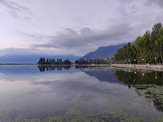 Free Dal Lake India photo and picture