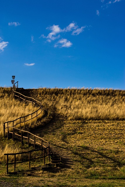 Free Hill Field photo and picture