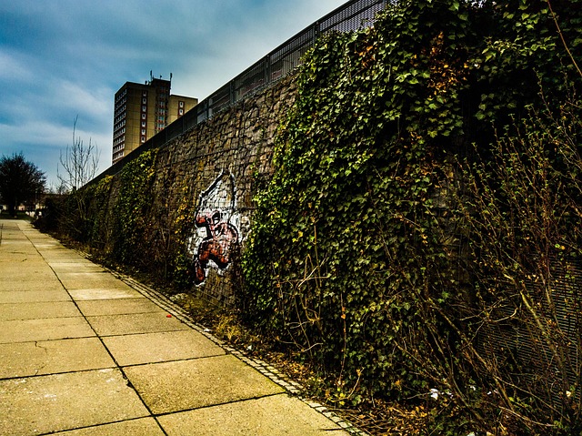 Free Wall Graffitti photo and picture