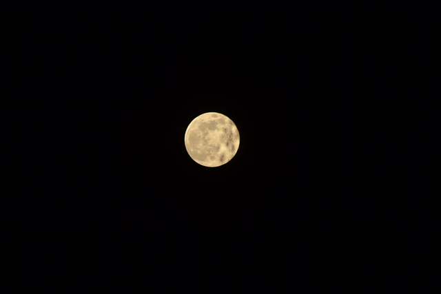 Free Moon Full Moon photo and picture