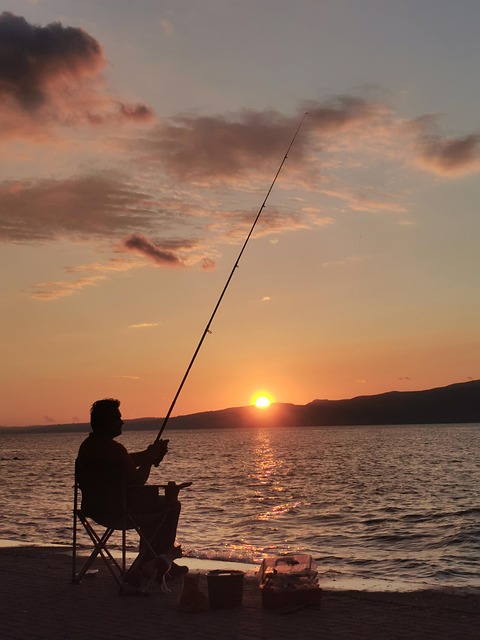 Free Sunset Sea photo and picture