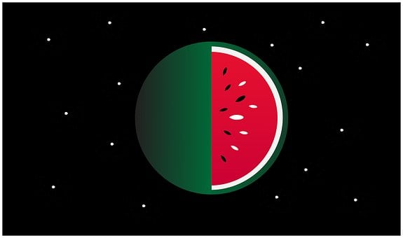 Free Watermelon Fruit illustration and picture