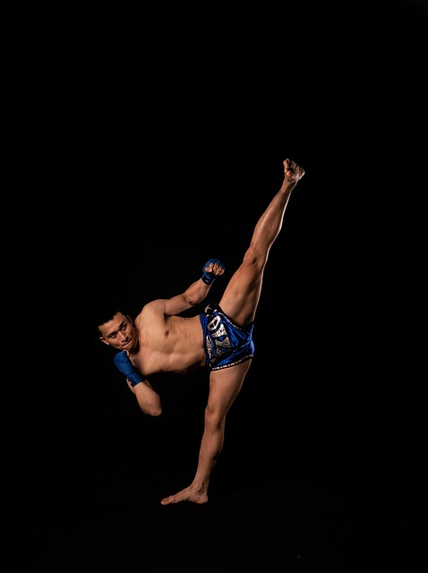 Free Kickboxer Fitness photo and picture