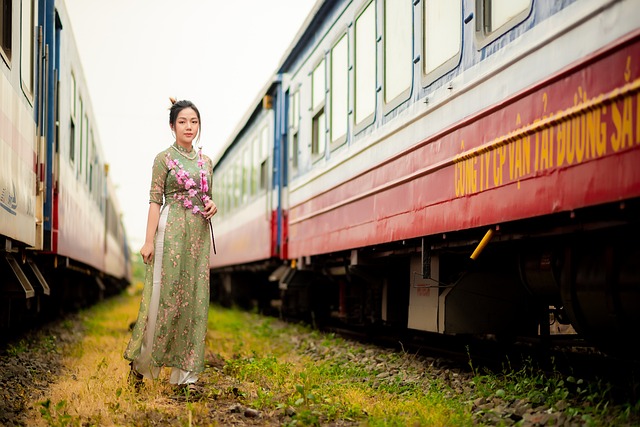 Mulher, Ao Dai, Comboio, Modelo, Estilo