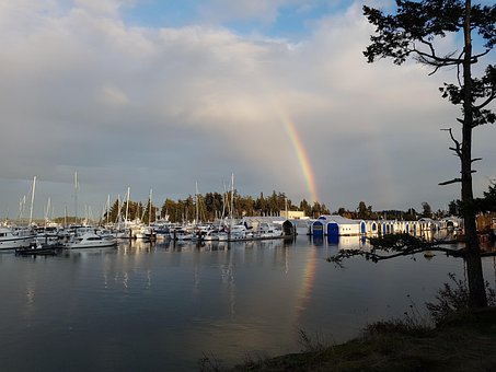 Free Marina Boats photo and picture