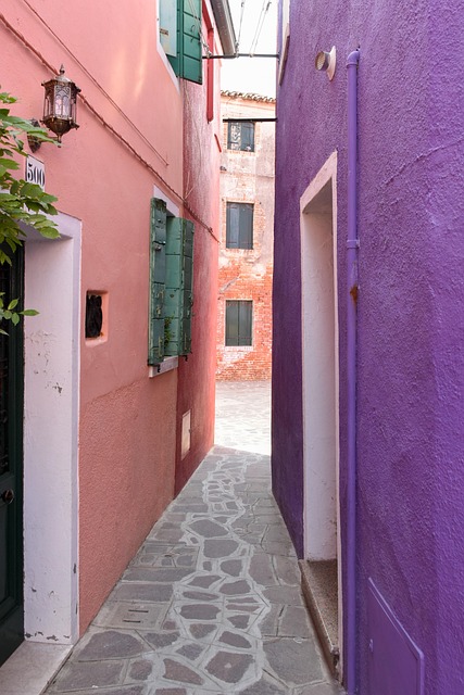 Free Colors Purple photo and picture