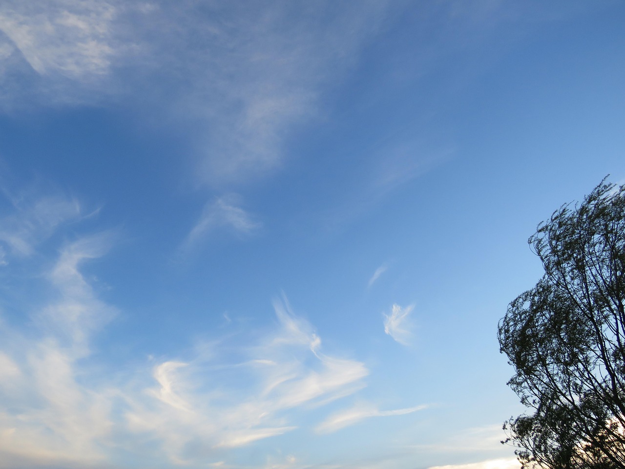 Clouds Designs Angel - Free photo on Pixabay - Pixabay