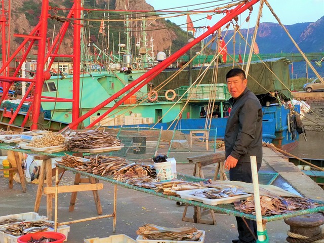 Free Ocean Fishing Village photo and picture