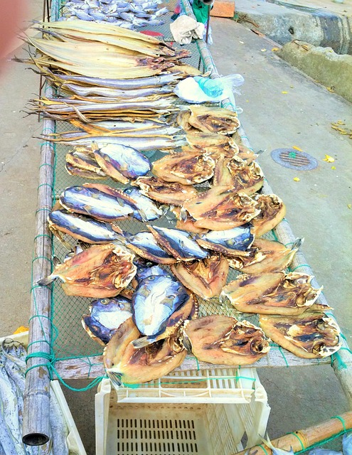 Free Ocean Fishing Village photo and picture