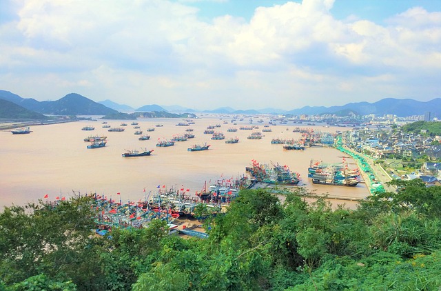 Free Ocean Port photo and picture