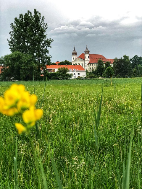 Free Meadow Countryside photo and picture