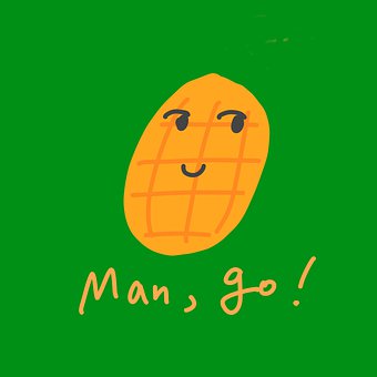 Free Mango Fruit illustration and picture