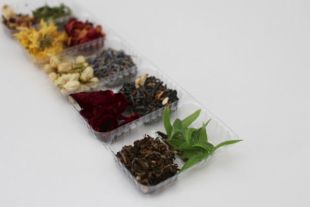 Ervas, Seco, Medicinal, Botânica