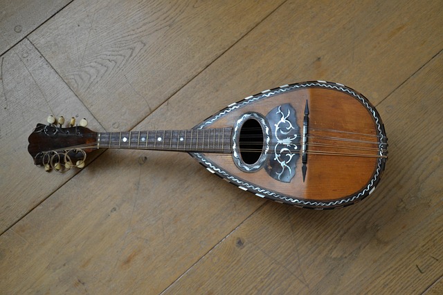 Free Mandolin Instrument photo and picture