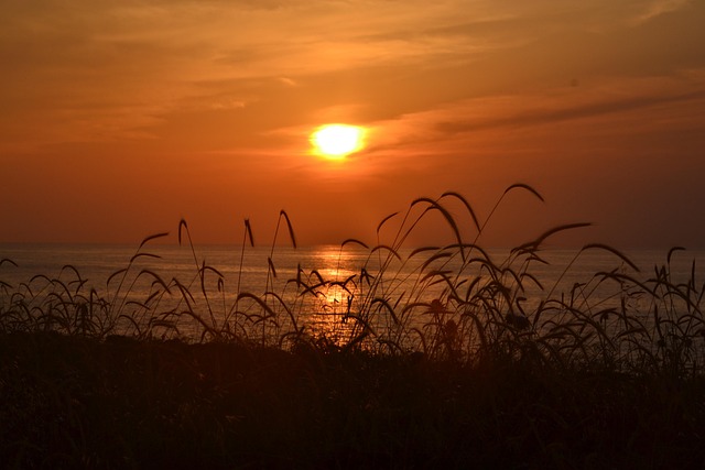 Free Sunset Seafront photo and picture