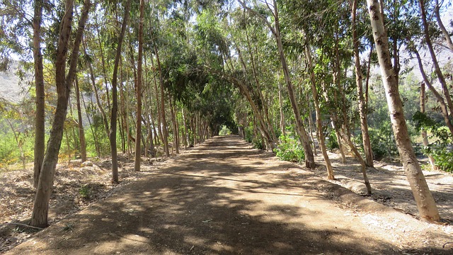 Free Path Gauge photo and picture