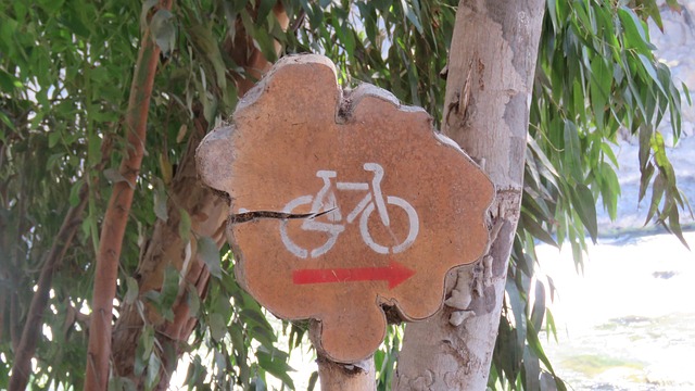 Free Warning Cyclist photo and picture