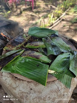 Free Tascalas Corn photo and picture