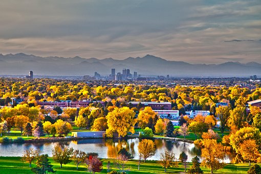 Free Trees Fall photo and picture