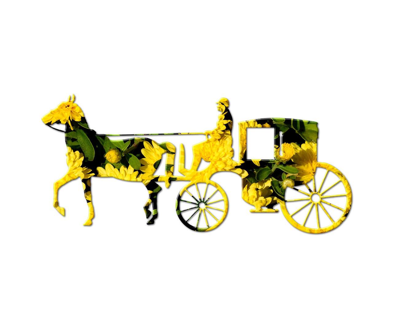 Pferd Sonnenblumen Gelb - Kostenloses Bild auf Pixabay - Pixabay