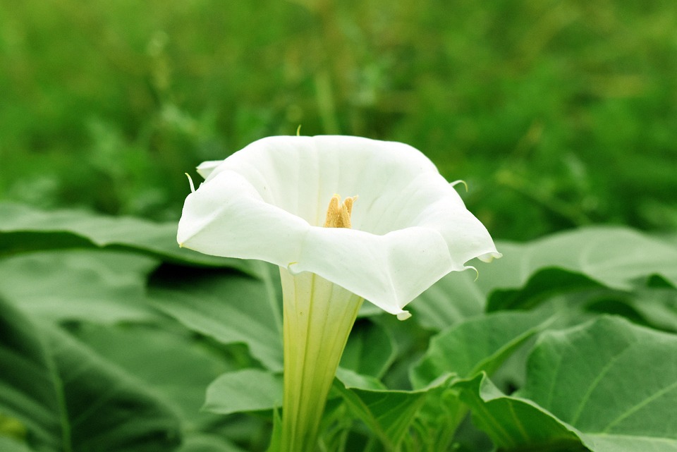 Image 18