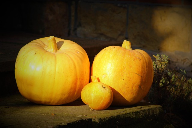 Free Pumpkin Vegetables photo and picture