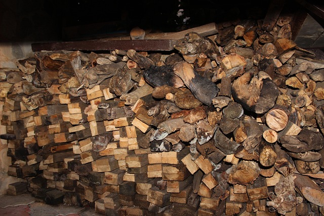 Free Firewood Wood photo and picture