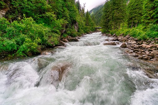 Free Bach Water photo and picture