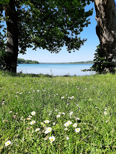 Free Lake Waters photo and picture