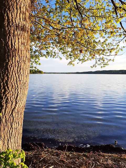 Free Pilsensee Lake photo and picture