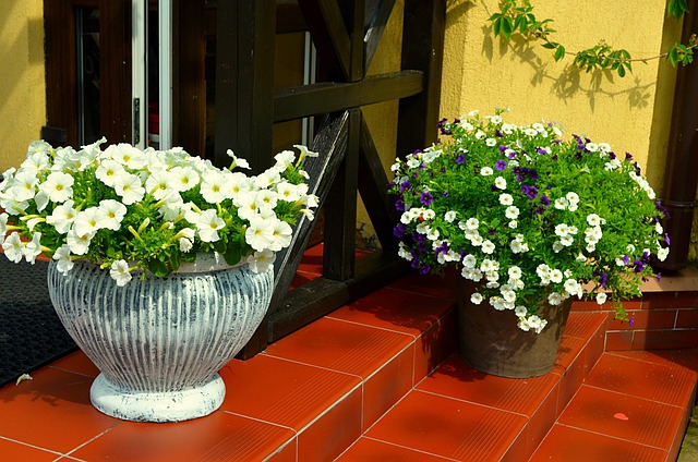 Free Flowers Flower Bed photo and picture