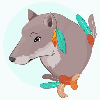 Lobo, Plumas, Boho, Animal