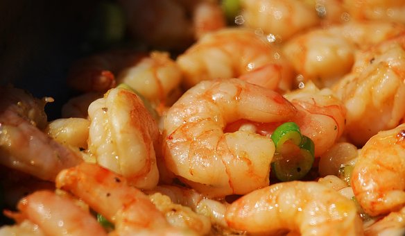 Free Shrimp Seafood photo and picture